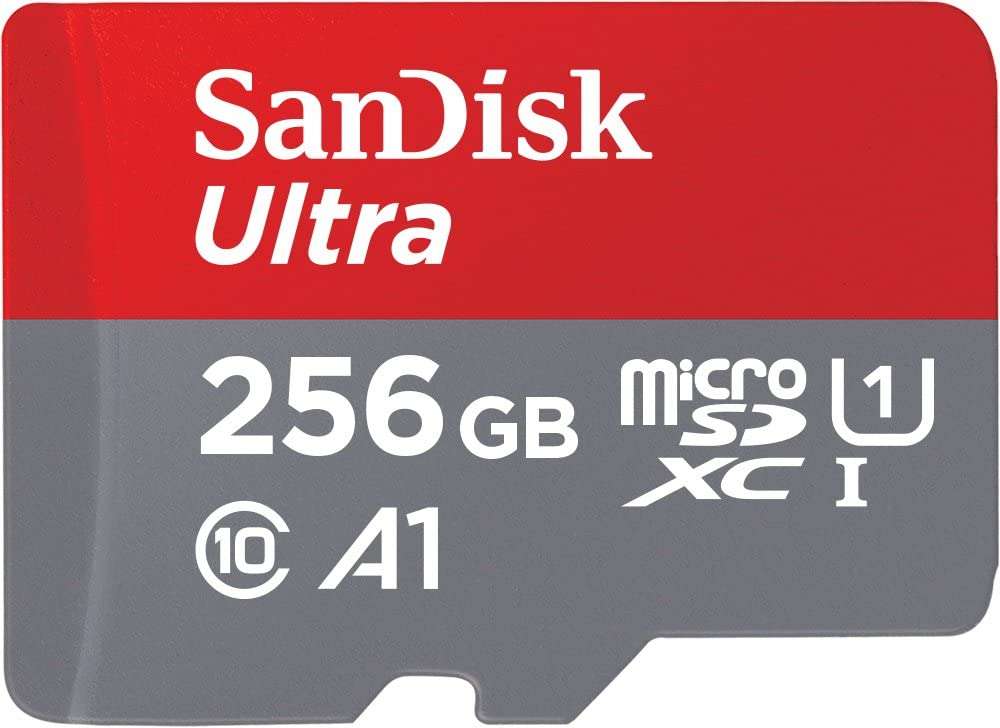Scheda SD SanDisk Ultra da 256 GB